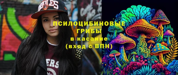 МДПВ Аркадак