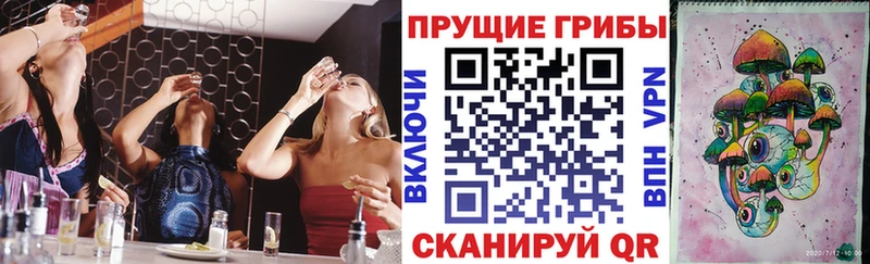 кракен онион  Шелехов  Псилоцибиновые грибы Magic Shrooms 